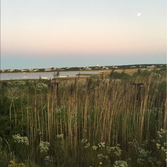 Meet your Posher, Shelly - Picture 1 of 1