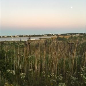 Meet your Posher, Shelly