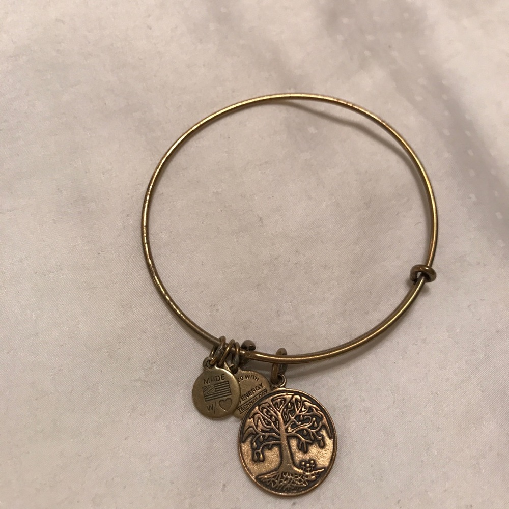 Alex and Ani bracelet