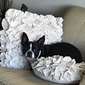 Meet your Posher, Diane