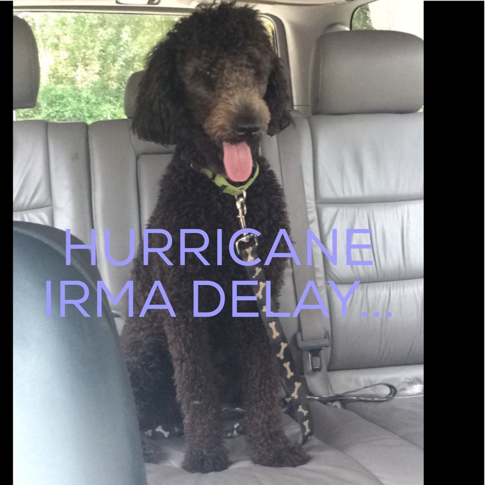 DELAYS! (Please read)