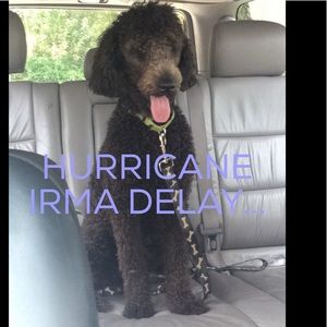 DELAYS! (Please read)