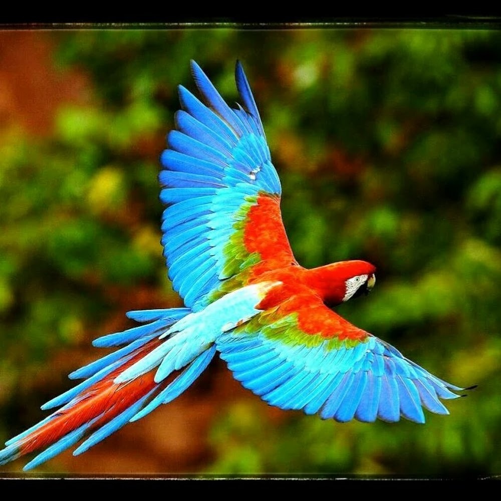 Meet your Posher, Mindy