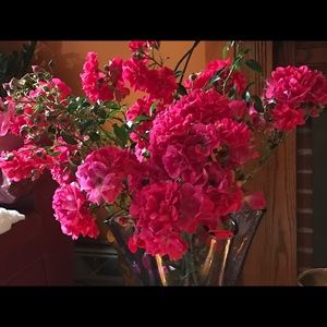 Meet your Posher, Sharon