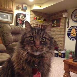 Meet your Posher, Joan