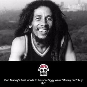 Meet your Posher, Frank