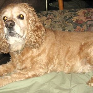 Meet your Posher, Beverly