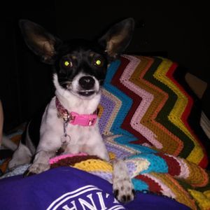 Meet your Posher, Stefanie