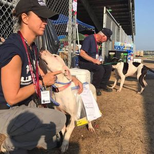 Meet your Posher, Amy