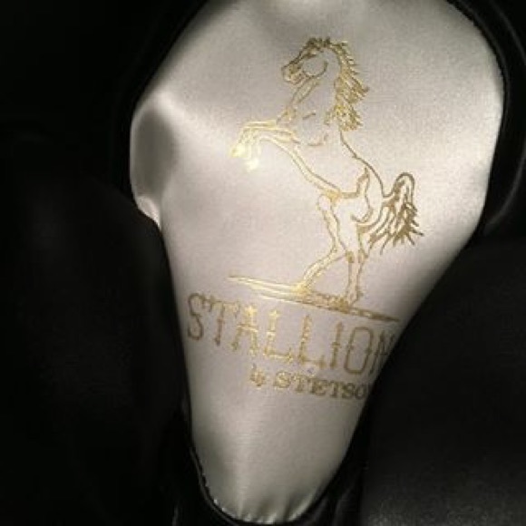 Ladies Stetson Stallion Hat