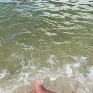 Meet your Posher, Agnes