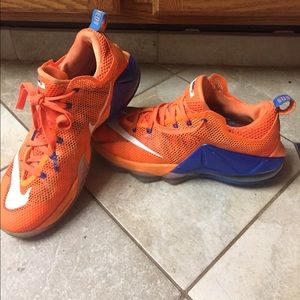 Lebron basketball shoes, blue/orange