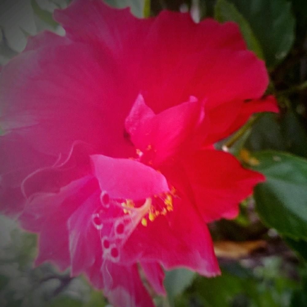 Meet your Posher, Leila