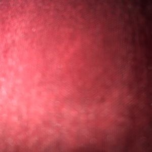 Meet your Posher, Daisy