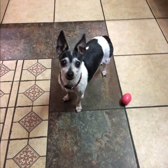 Meet your Posher, Colleen - Picture 1 of 1