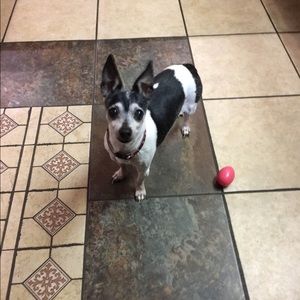 Meet your Posher, Colleen