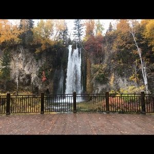 Meet your Posher, Tricia