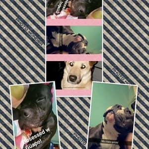 Meet your Posher, Jessica