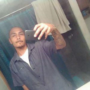 Meet your Posher, Albert