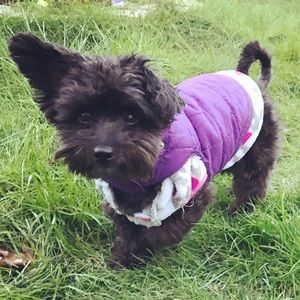 Meet your Posher, Gina