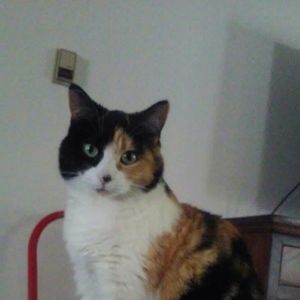 Meet your Posher, Linda