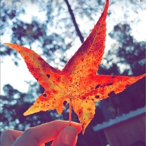 Meet your Posher, Christine