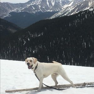 Meet your Posher, David