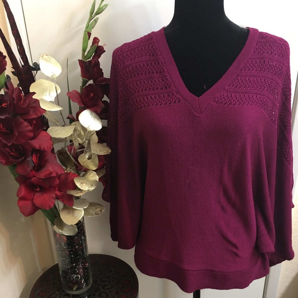 💜Ashley Stewart V-neck Sweater 💜✖️Price Firm✖️