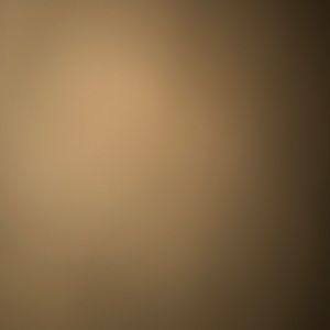 Meet your Posher, Adrian