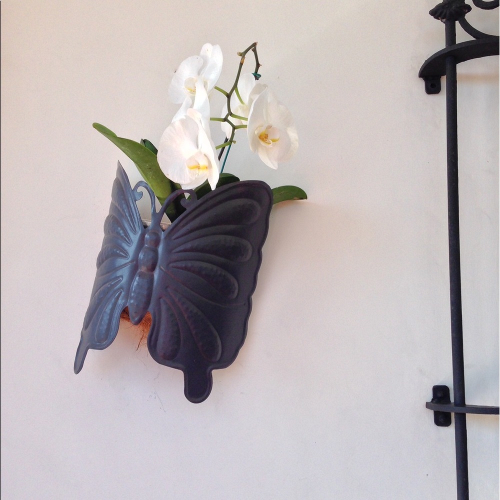 Meet your Posher, Lora