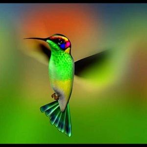 Meet your Posher, Marcos