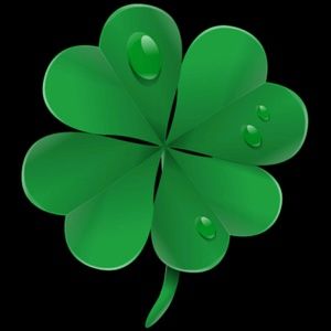 Meet your Posher, Ladawn