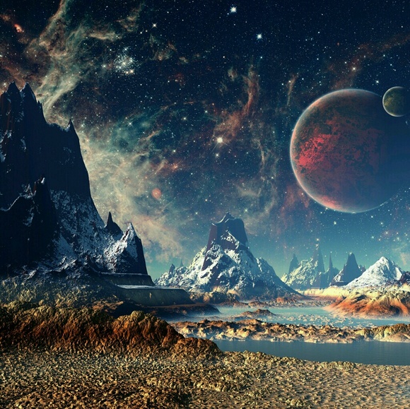 Meet your Posher, Elijah - Picture 1 of 1