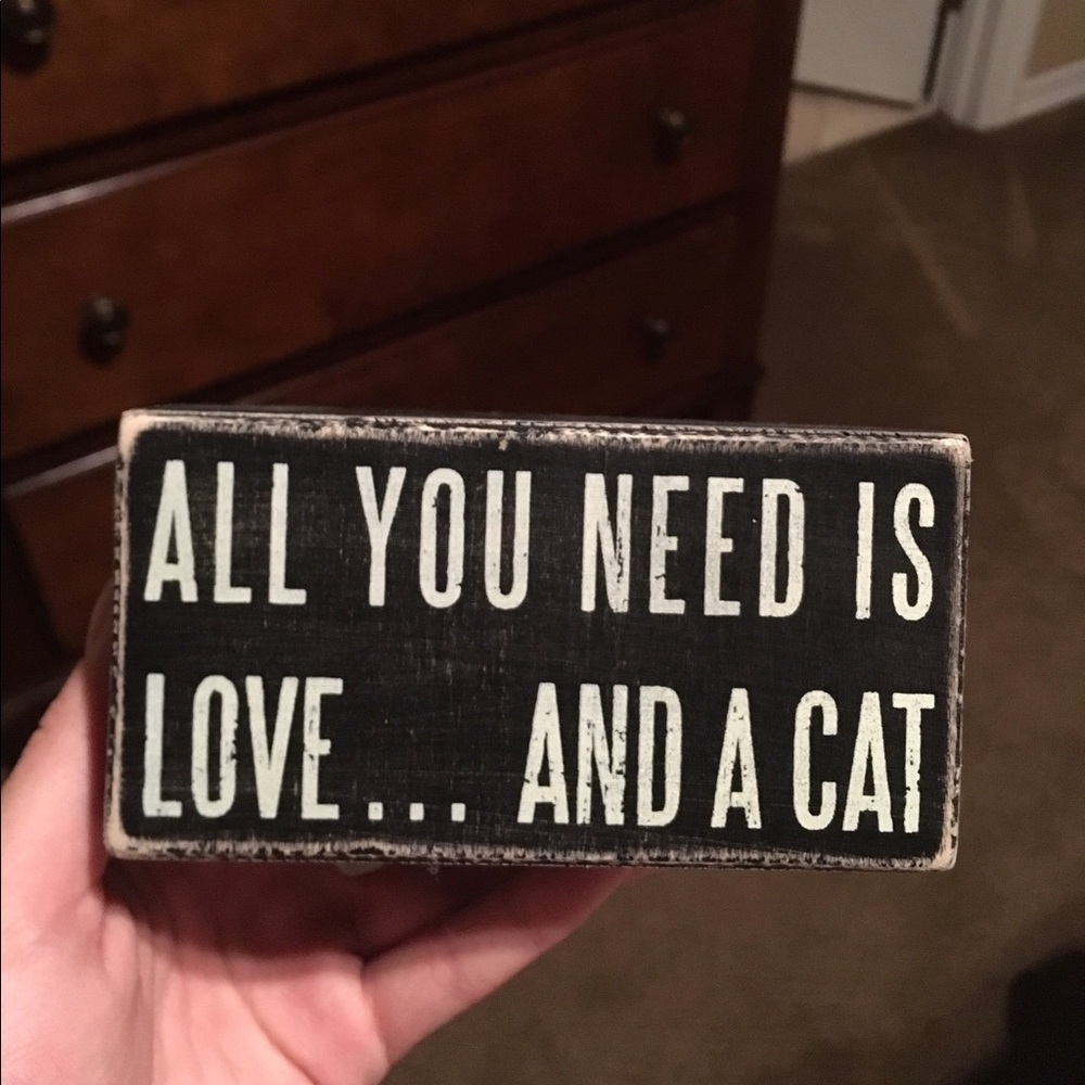 ALL YOU NEED IS LOVE.. AND A CAT💞