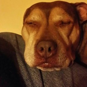 Meet your Posher, Wesley