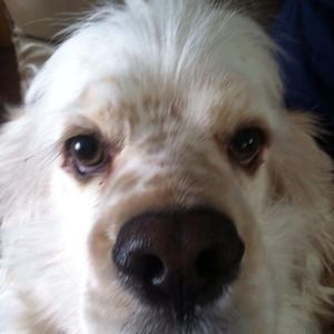 Meet your Posher, Dylan