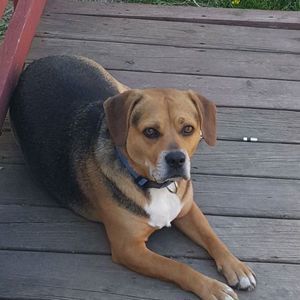 Meet your Posher, Carina