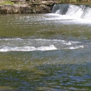 Meet your Posher, Jim