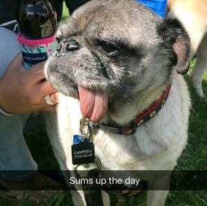 Meet your Posher, Natalie