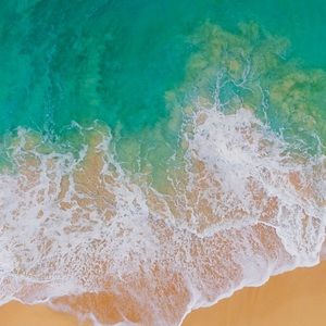 Meet your Posher, Eboniee