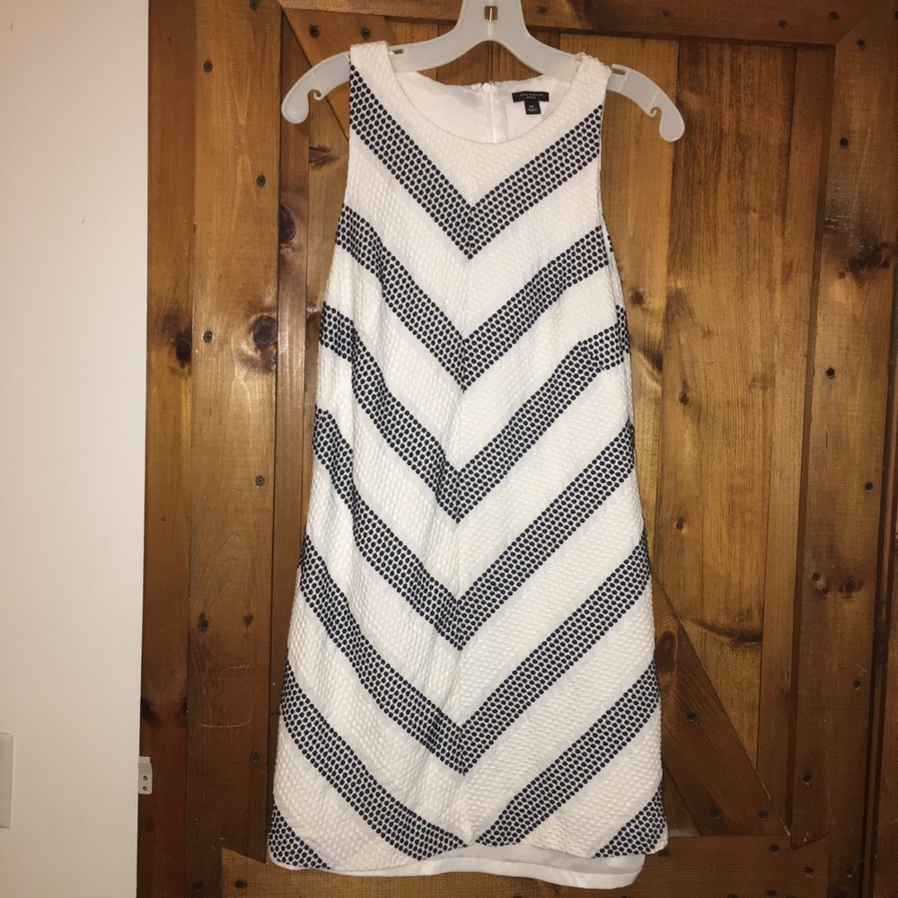 Ann Taylor Dress