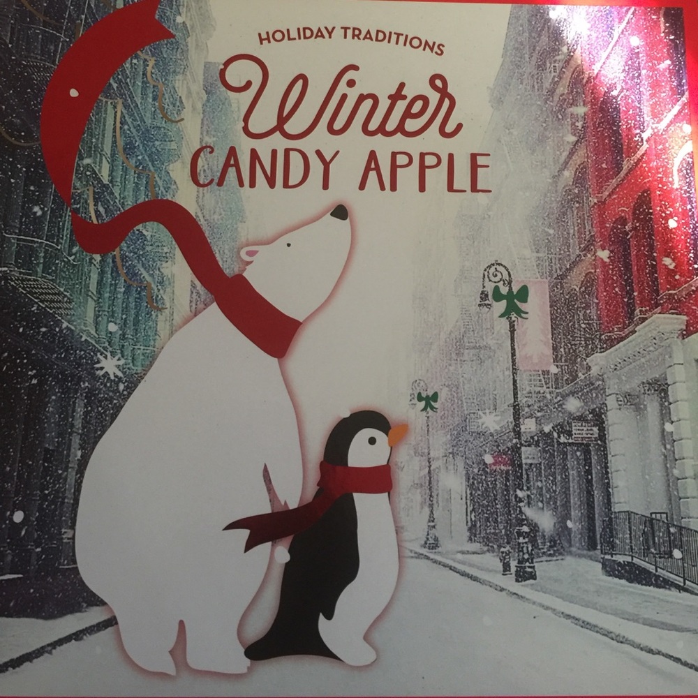 Holiday Traditional Winter Candy Apple Set