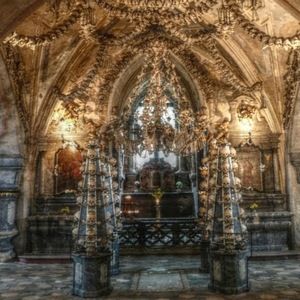 Meet your Posher, Robbie