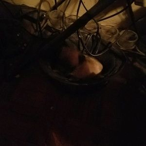 Meet your Posher, Ramona