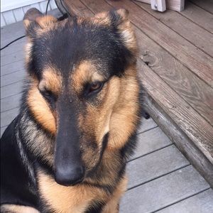 Meet your Posher, Candie