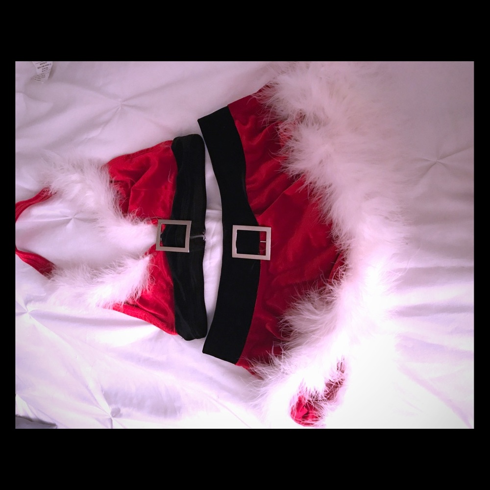 Mrs.Santa Costume