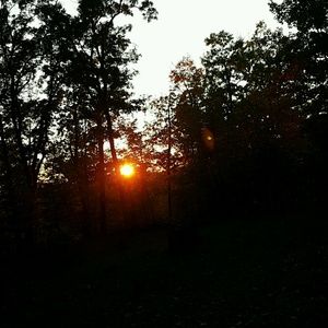 Meet your Posher, Addie