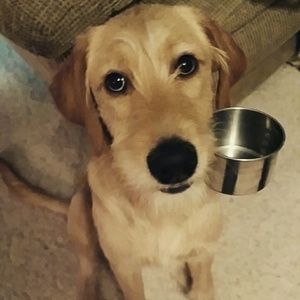 Meet your Posher, Layne