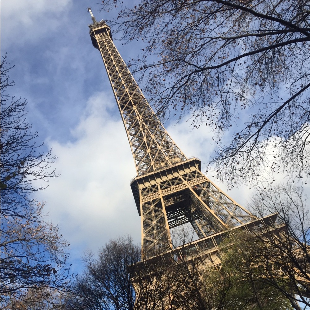 Meet your Posher, Bee