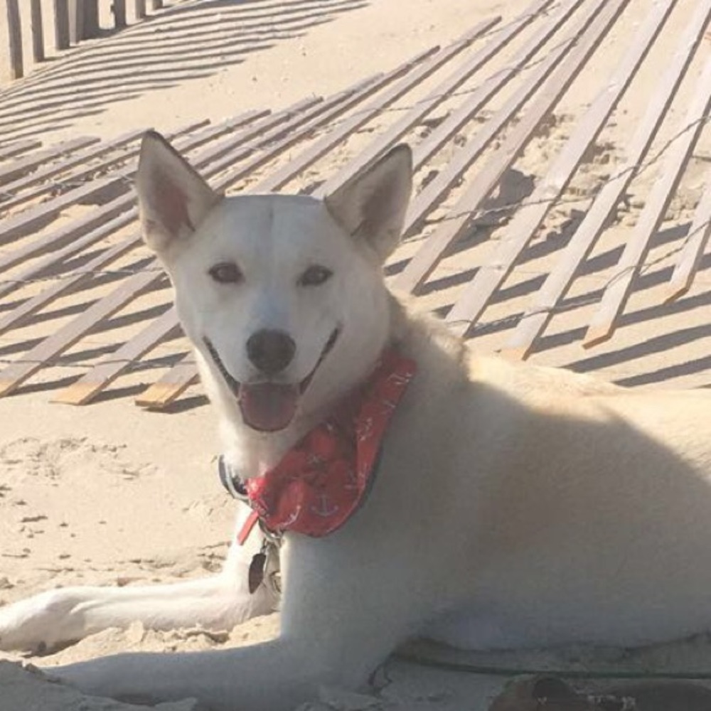 Meet your Posher, Kaitlin